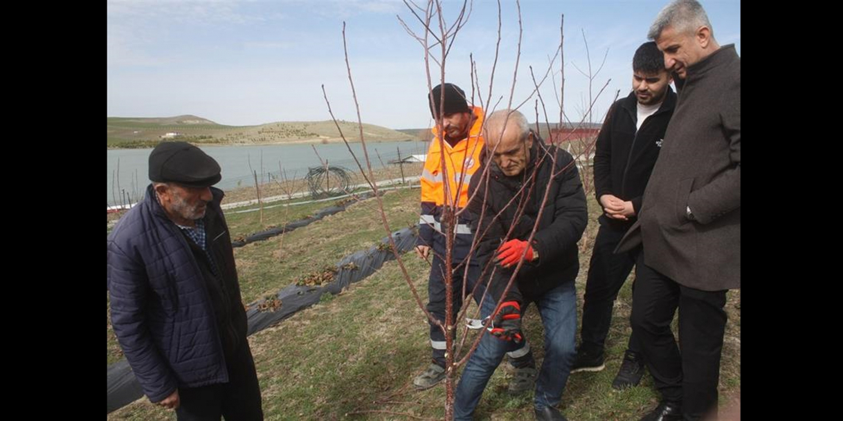 Saraykent’te budama eğitimi (Yozgat)